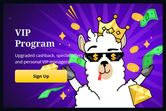 Join the LamaBet VIP Program and get upgraded cashback and personal managers