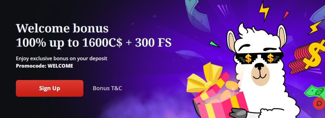 Claim welcome bonus up to 1600 dollars with promocode